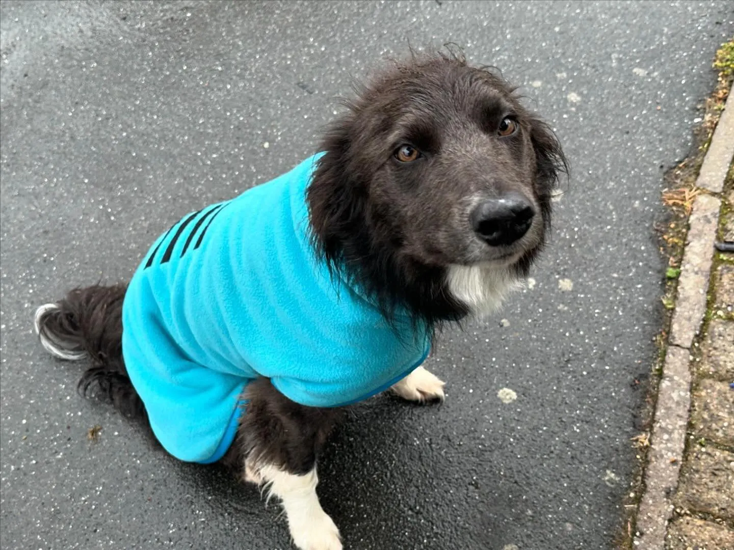 Jaegr Ultra Fleece