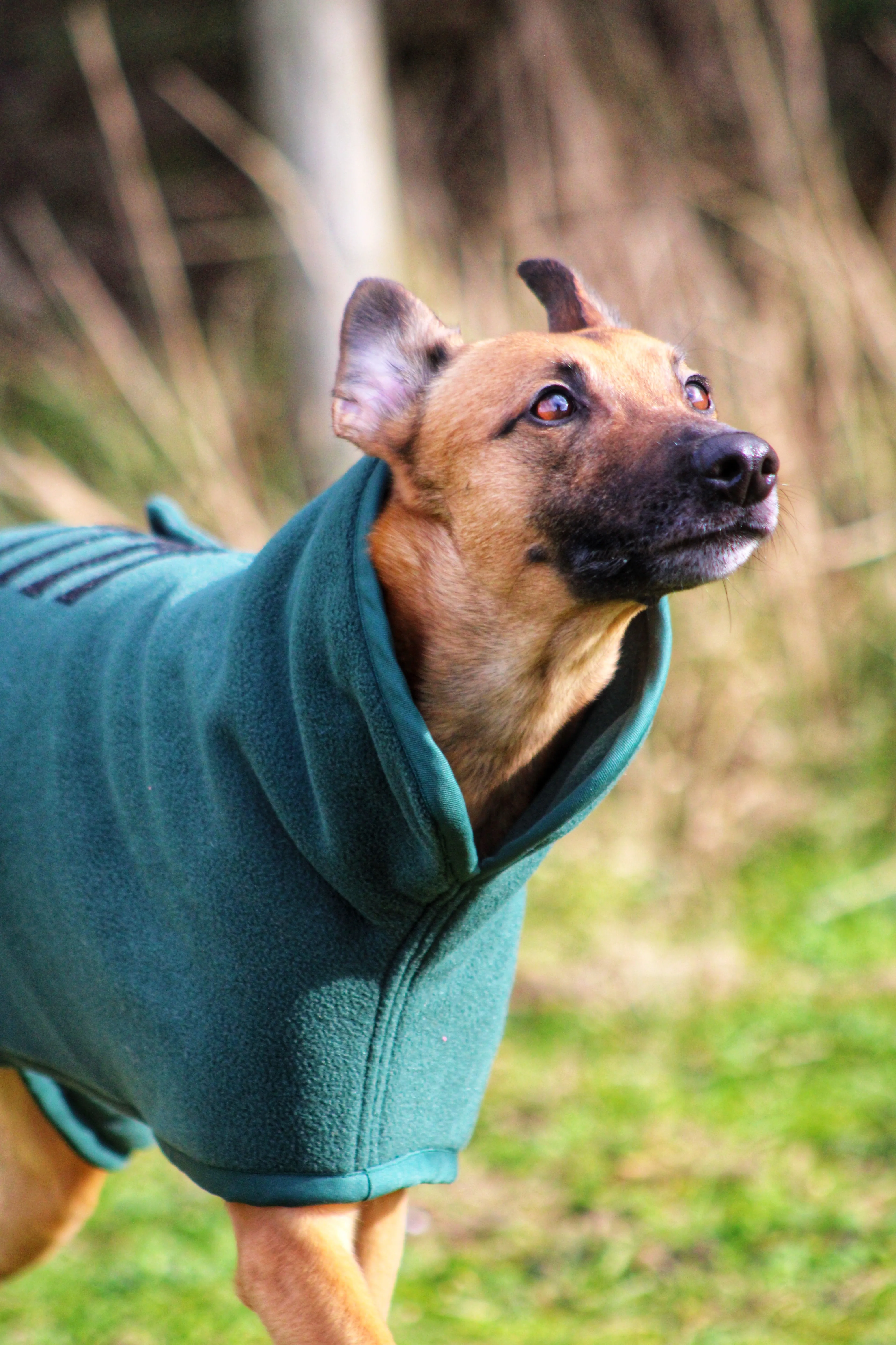 Jaegr Ultra Fleece