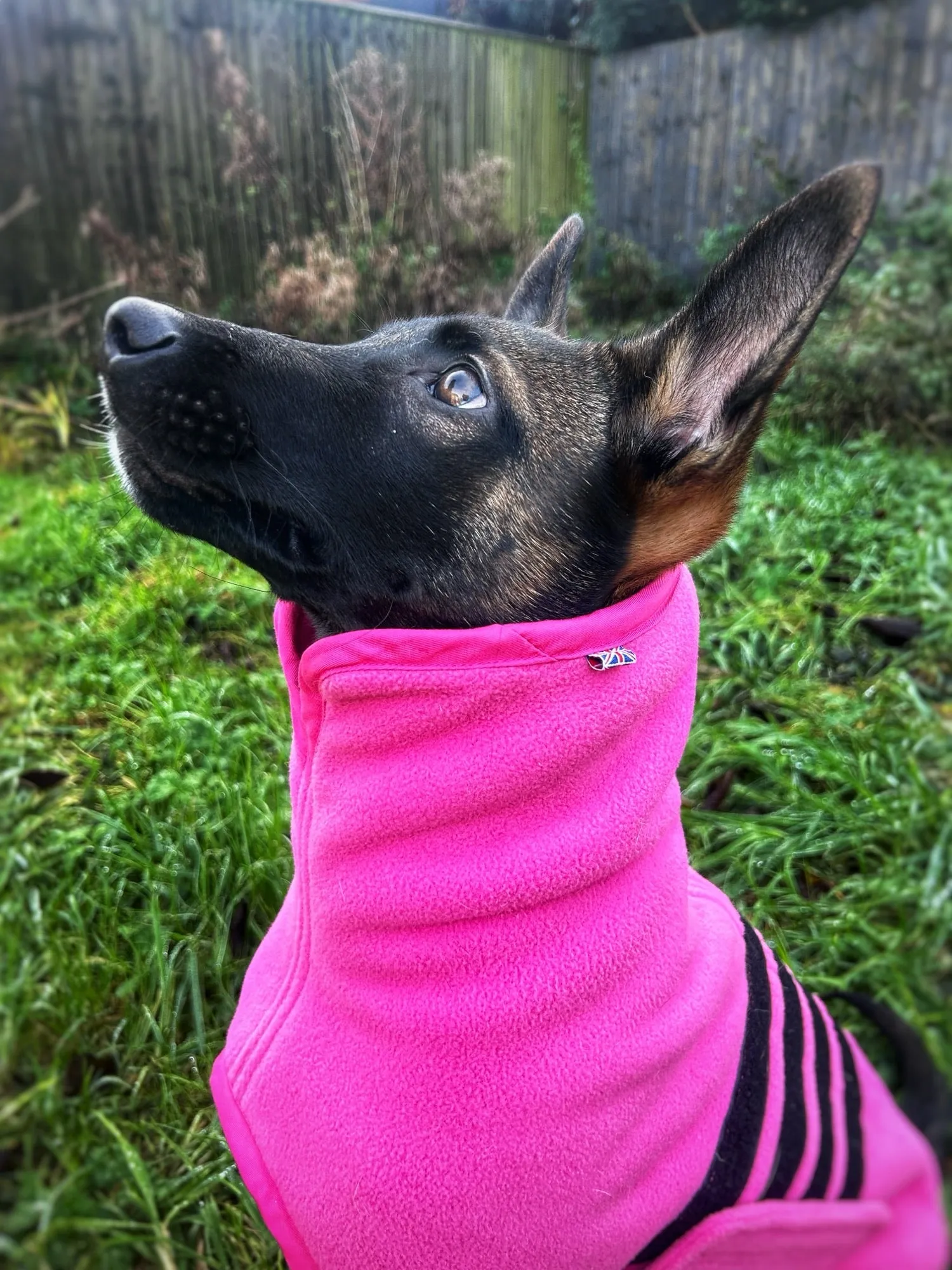 Jaegr Ultra Fleece