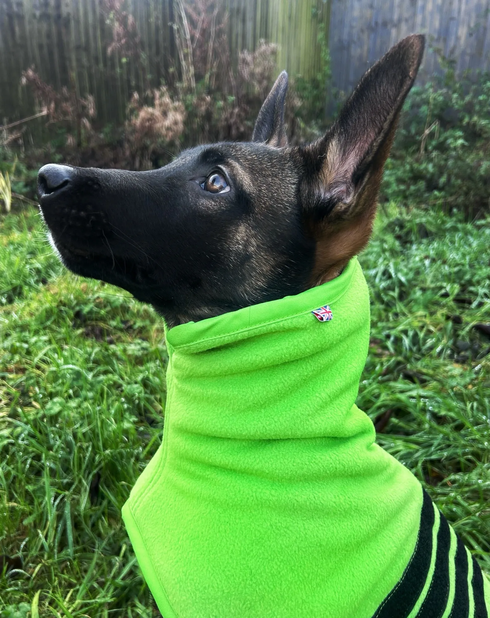 Jaegr Ultra Fleece