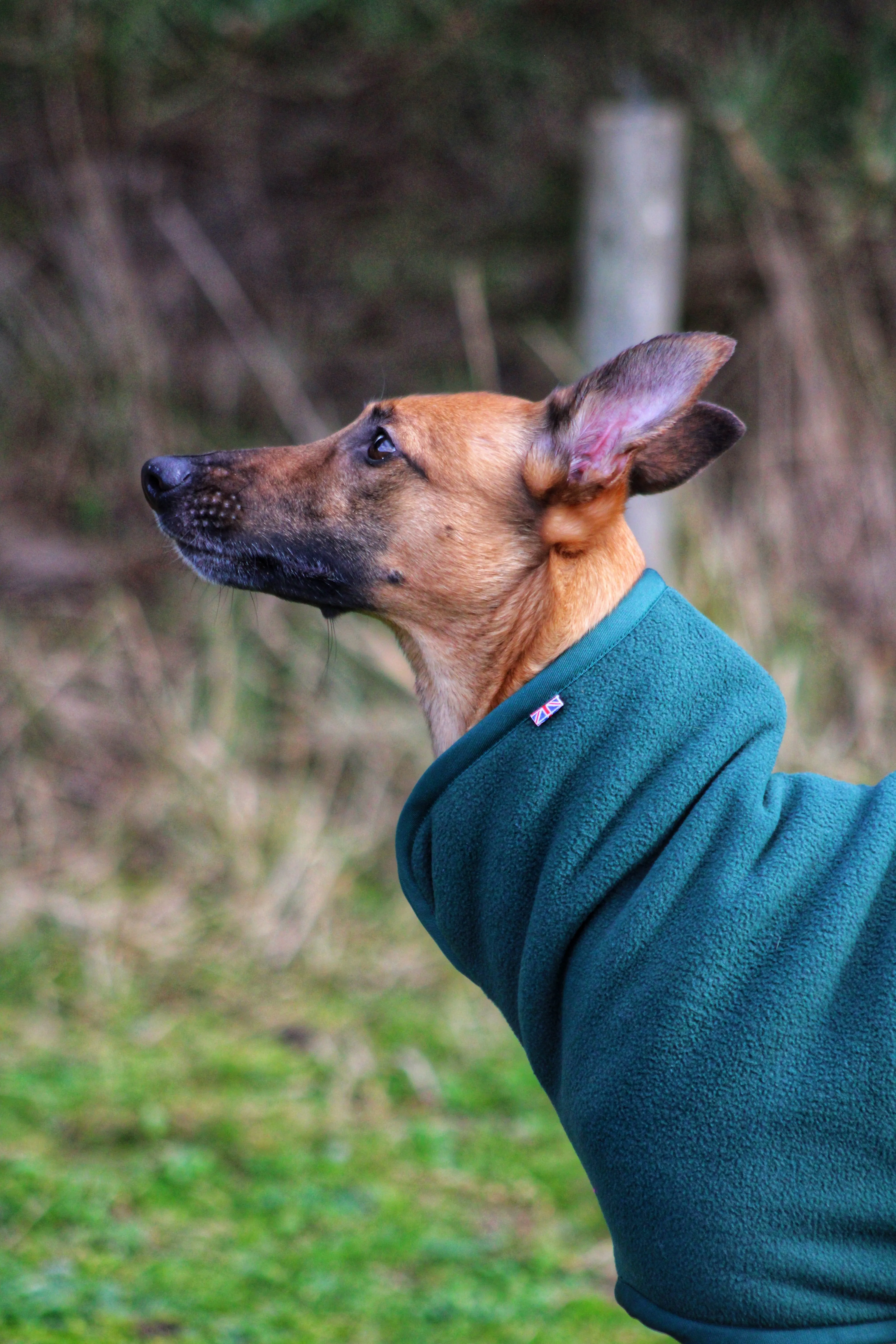 Jaegr Ultra Fleece