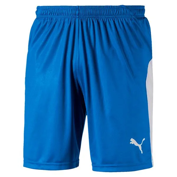 Puma Liga Shorts