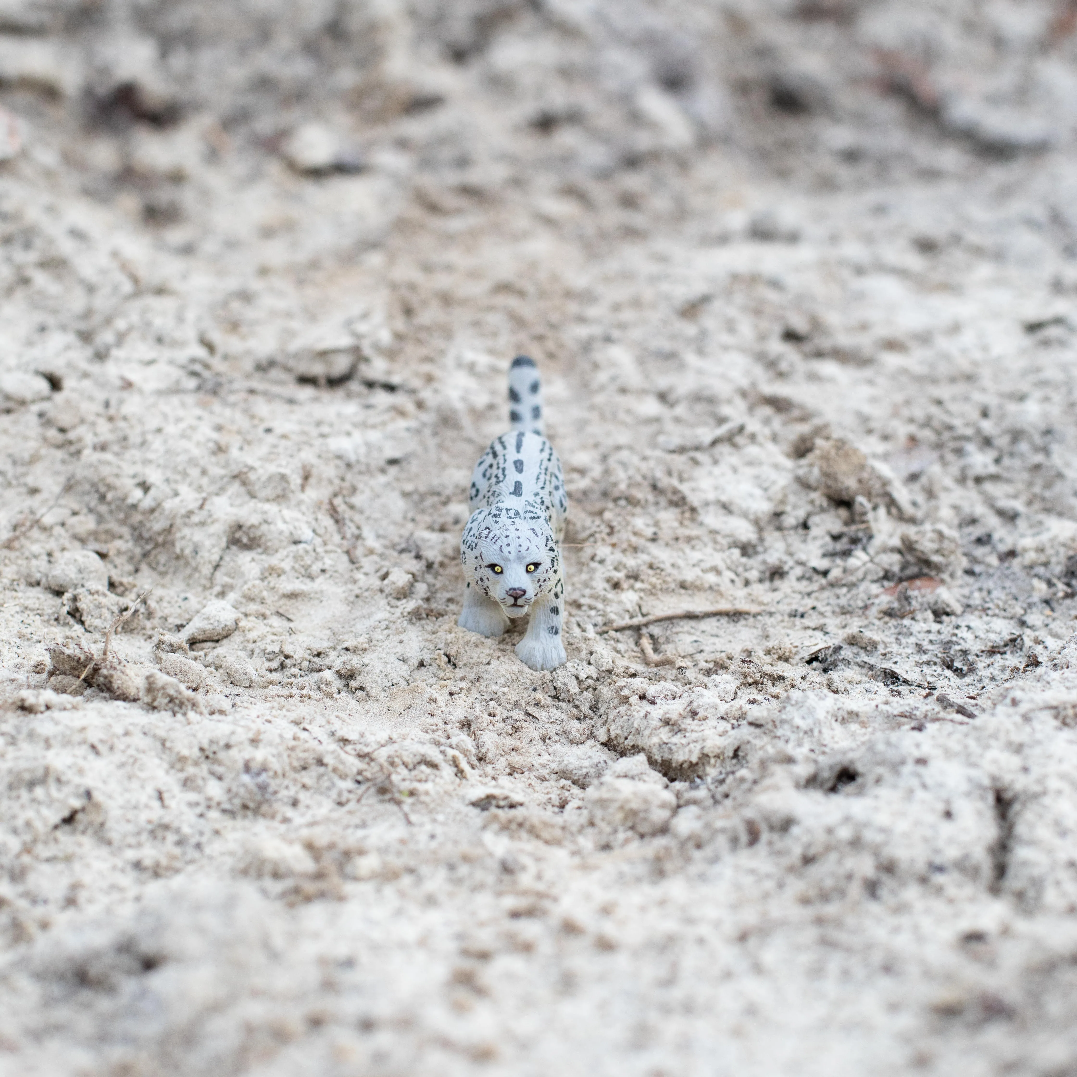 Snow Leopard Toy